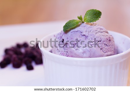Home made Blue berry ice-cream