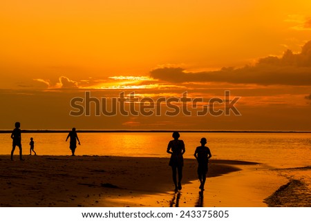 Silhouettes group of people walking ion the beach at sunset