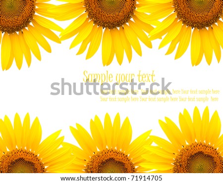 Sunflower Frame with space for your text