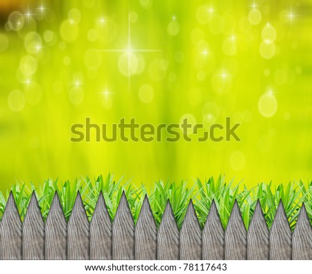 Wood fence with fresh spring green grand in natural green background