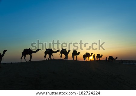 Camel caravan silhouette through the sand dunes lead nose at Thar Desert India dramatic sunlight  background