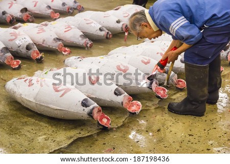 TOKYO, JAPAN - OCTOBER 25: Tuna for auction at Tsukiji fish market on Oct  25, 2013 in Tokyo. Tokyo\'s fish market is the biggest wholesale fish and seafood  market in the world
