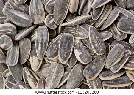Background texture of salted and roasted sunflower seeds.