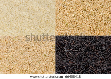 Composite of sushi rice, short-grained brown rice, long-grained brown rice, and wild rice.