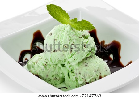 Mint ice cream with chocolate sauce in a white bowl garnished with fresh mint.