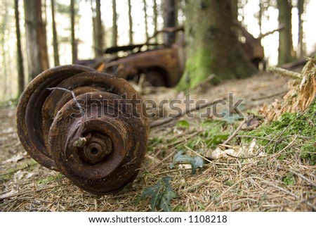 Dumped small family car in remote Welsh deciduous forest.