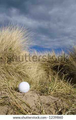 Golf ball in the rough at an English links golf course.