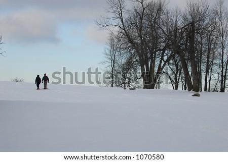snow shoeing in park
