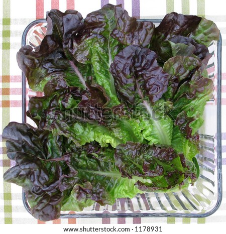 Red lettuce in square dish on plaid tablecloth