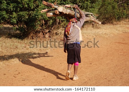 Africa -Tanzania - Village Pomerini - August 2013 - The Franciscan Mission for Humanitarian Aid - A woman while carrying firewood on their heads