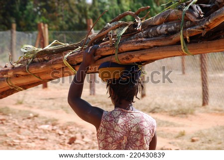 An African woman while carrying a load of wood - Tanzania