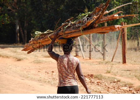 An African woman while carrying a load of wood - Tanzania