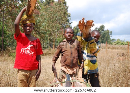 August 2014-Pomerini-Tanzania-Africa-African children to work carrying logs of wood on their heads in the African way, for cooking and heating-often in Africa are the kids to do the hardest work