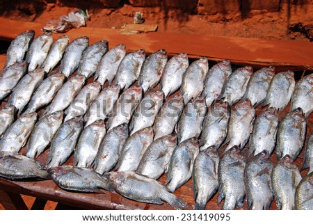 The market of the Village of Pomerini - Benches fish - Tanzania - Africa