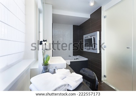 Luxury bathroom interior with wall mounted tv