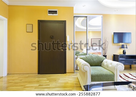 Apartment interior - entrance door
