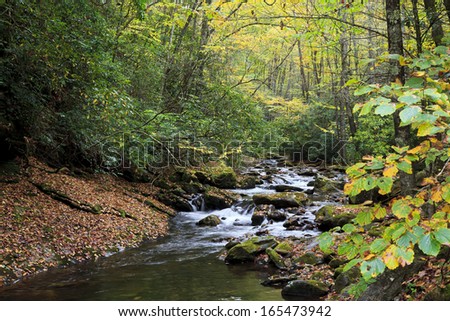 Courthouse Creek near the Courthouse Falls in the Pisgah National Forest near Devil\'s Courthouse in North Carolina
