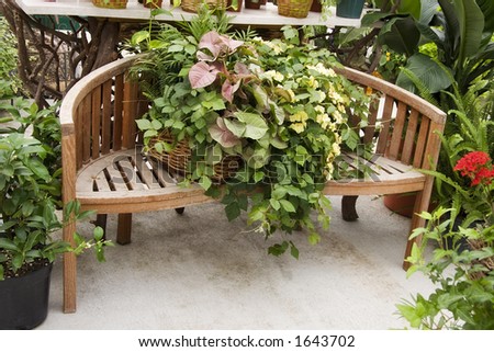 Wooden Bench Display in a Greenhouse Nursery