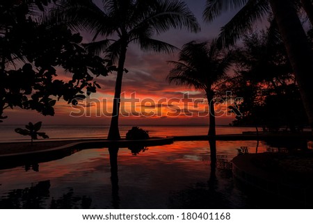 Dramatic Sunset with silhouettes palm and reflection in swimming pool