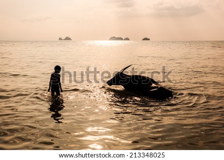 silhouettes of a boy and buffalo bathing in the sea in back lighting