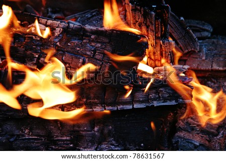 Close up of campfire flames