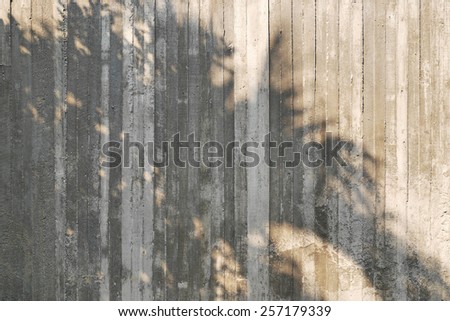 shadow of tree on raw concrete wall with wooden form work texture