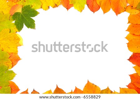 Colorful autumn frame made from leaves on white background