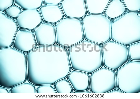 Macro close up of soap bubbles look like scientific image of cell and cell membrane