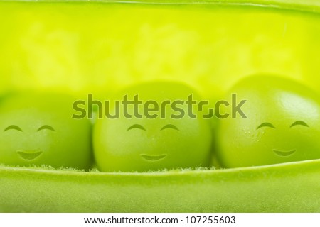 Macro close up of green pea pod with happy peas