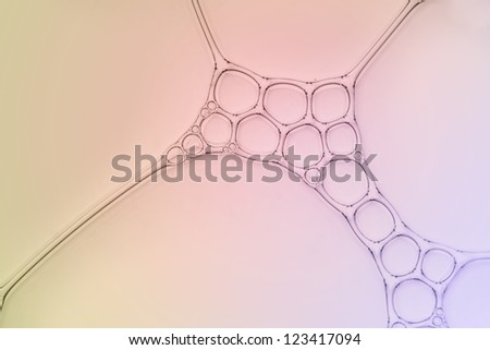 Macro close up of colorful soap bubbles