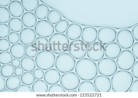 Macro close up of soap bubbles