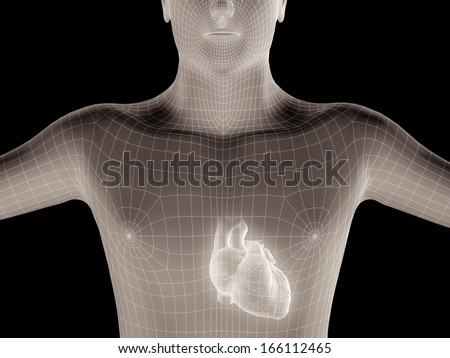 3D X-Ray image of human body and heart anatomy
