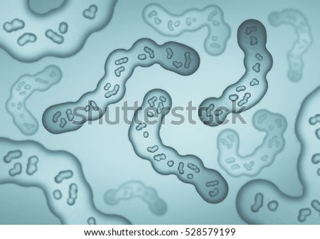 Abstract illustration in microscopic view of various bacteria cells
