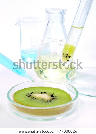 Fruit extract experimental in laboratory for Genetically Modified Organisms (GMOs)
