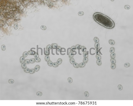 The Word Bacteria