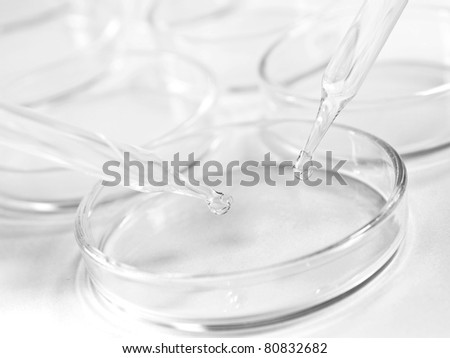 Science and medical glassware and test plare, Chemical laboratory test plate