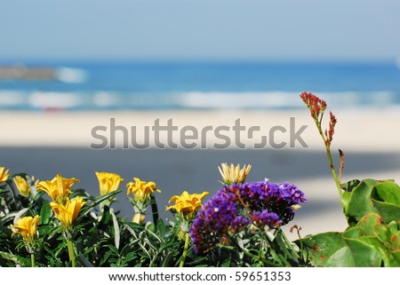Flowers and the sea in the background.