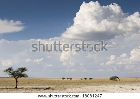 Cloudscape, Etosha National Park, Republic of Namibia, Africa