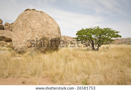 Huge boulder in Damaraland, Republic of Namibia, Africa. Look close in the shadow under the tree: we are beeing observed!