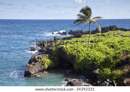 Wai\'anapanapa State Park, Hana, Maui, Hawaiian Islands, United States
