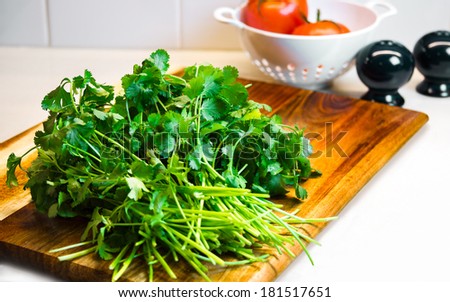 Bunch of fresh green coriander, cilantro on a wooden cutting board
