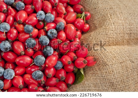 heap of dog rose hips/heps mixed with black thorn berries closeup on jute background