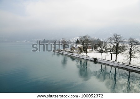 Trees and reflection along the lake in winter, Switzerland
