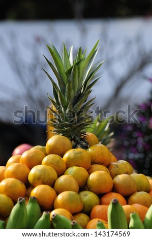 Set of fresh tropical fruits: banana, orange, pineapple in ritual ceremony on branches background