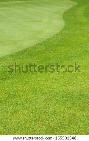 Background of freshly mown lawn in a golf course