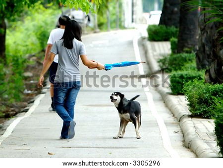 Dog preparing to attack stranger walkng by.