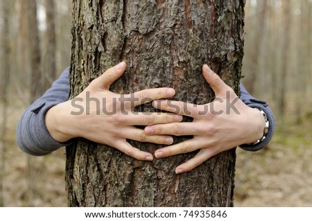 hands hug a tree