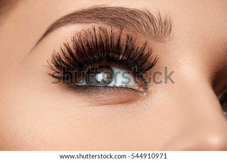 Long Black Eyelashes. Closeup Of Beautiful Female Eyebrow And Big Eye With Fake Lashes. Woman With Soft Smooth Healthy Skin And Glamorous Professional Facial Makeup. Beauty Cosmetics. High Resolution