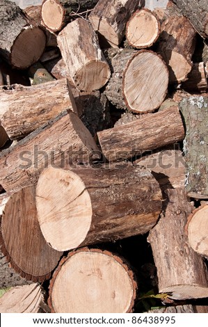 Pile of firewood. Natural material, alternative energy.
