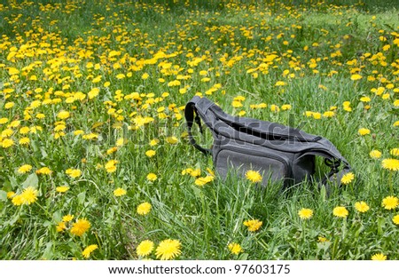 Gray camera bag on meadow of yellow dandelions